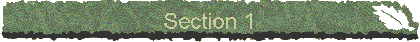 Section 1