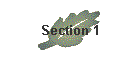 Section 1
