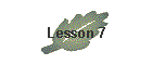 Lesson 7