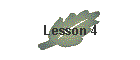 Lesson 4