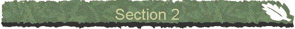 Section 2