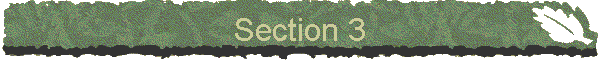 Section 3