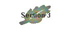 Section 3