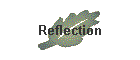 Reflection