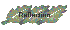 Reflection