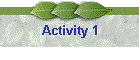 Activity 1