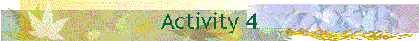 Activity 4