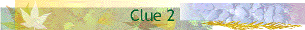 Clue 2