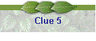 Clue 5