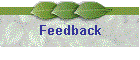 Feedback