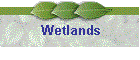 Wetlands