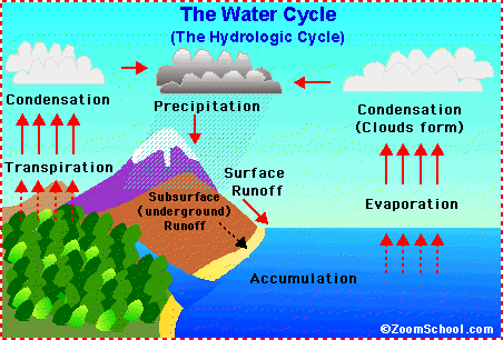 Eco-Mystery Quiz